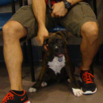 Baby Boxer Brock