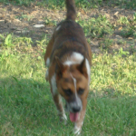 Rusty